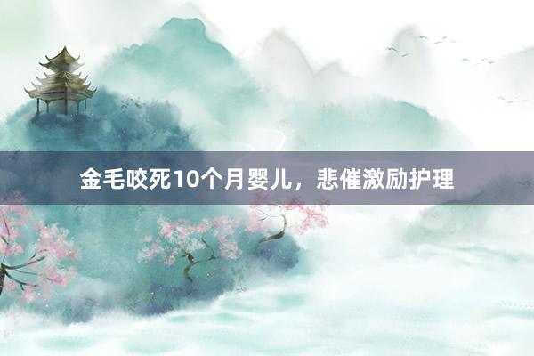 金毛咬死10个月婴儿，悲催激励护理