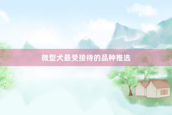 微型犬最受接待的品种推选